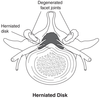 Medical Anatomy Clipart Image