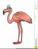 D Flamingo Clipart Image
