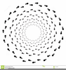 Concentric Circles Clipart Image