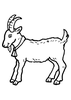 Clipart Goats Image