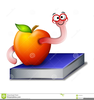 Clipart Bookworm Image