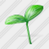 Icon Sprouts 1 Image