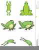 Vector Frog Clipart Image