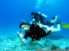 Scuba Iving Clipart Image