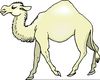 Clipart Camel Image