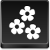 Flowers Icon Image