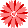 Flower Image