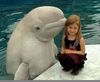 Beluga Whale Kissing Image