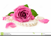 Pearl Rose Clipart Image