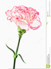 Free Clipart Carnations Image