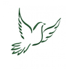 Flying Dove Clipart Image