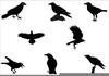 Halloween Crow Clipart Image