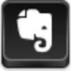 Evernote Icon Image