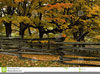 Rail Fence Clipart Image