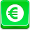 Euro Coin Icon Image