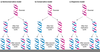 Semiconservative Replication Diagram Image