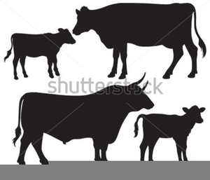 Club Calf Clipart Image