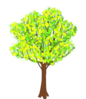 Tree Blossoming Clip Art