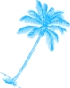 Coconut Palm Clip Art