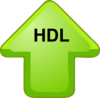 Hdl Cholesterol Up Arrow Clip Art
