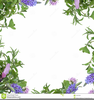 Free Herbal Clipart Image