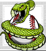 Rattlesnake Clipart Images Image