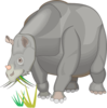 Rhinoceratoidea Clip Art