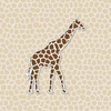 1291 1 Image