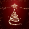 1336 1 Image