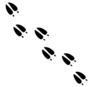 Deer Footprints Clipart Image