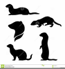 Ferret Clipart Free Image