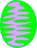 Mitochondria Green 3 Clip Art