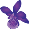 Flower Clip Art