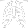 Rib1 Clip Art