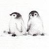 Baby Penguin Sketches Image