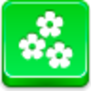 Flowers Icon Image