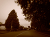 Neighbourhood Street In South Richmond Sepia Image