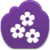 Flowers Icon Image