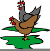 Free Chicken Clipart Image