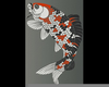 Koi Wall Stencil Image