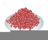 Bean Clipart Pinto Image