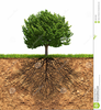 Grass And Soil Clipart Image