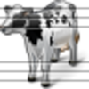 Cow 14 Image