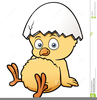 Free Clipart Yellow Chick Image