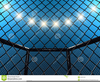 Cage Fighting Clipart Image