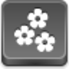 Flowers Icon Image