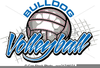 Bulldog Volleyball Clipart Image