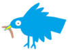 Bird  Image