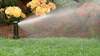 Sprinkler Image