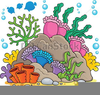 Coral Draw Clipart Image